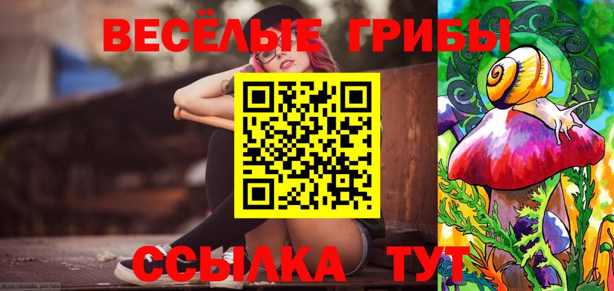 Грозный  Псилоцибиновые грибы Cubensis  Галлюциногенные грибы Psilocybe  Вход с VPN 